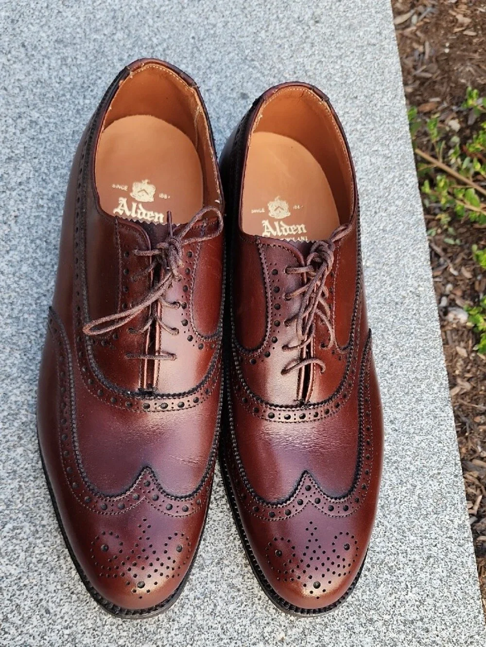 Alden 927 Men's Wingtip Oxford Balmoral Brogue Dress Shoes Size 7.5 D